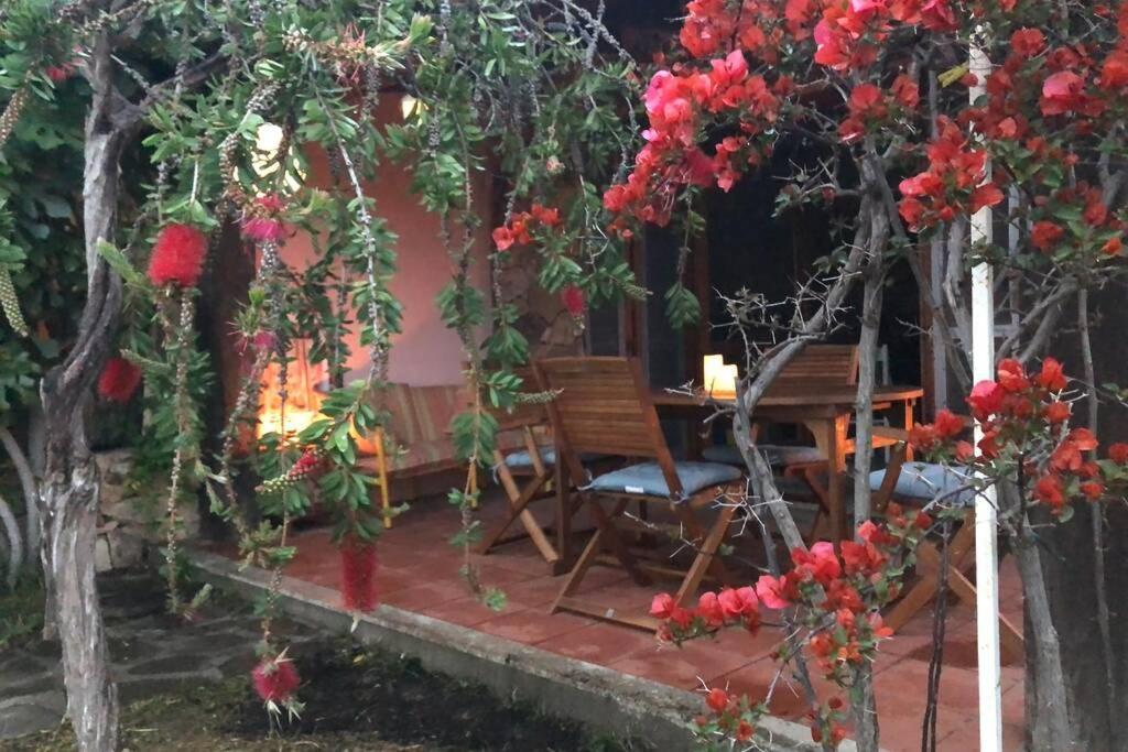 Villetta La Cinta San Teodoro  Ngoại thất bức ảnh